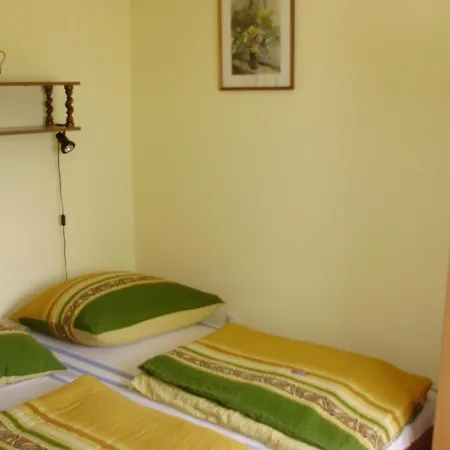 Szatmari Vendeghaz Holiday home *